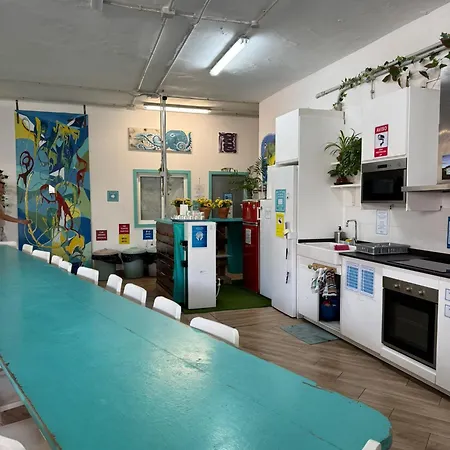 Medano Nest * El Médano