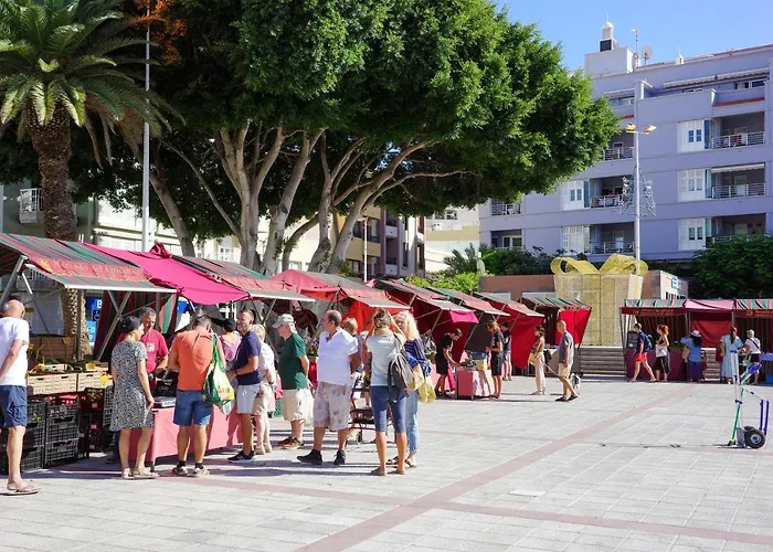 Medano Nest * El Médano